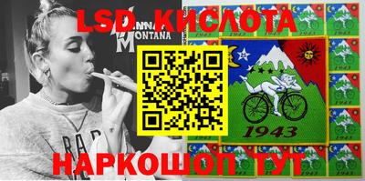 гидропоника Сланцы