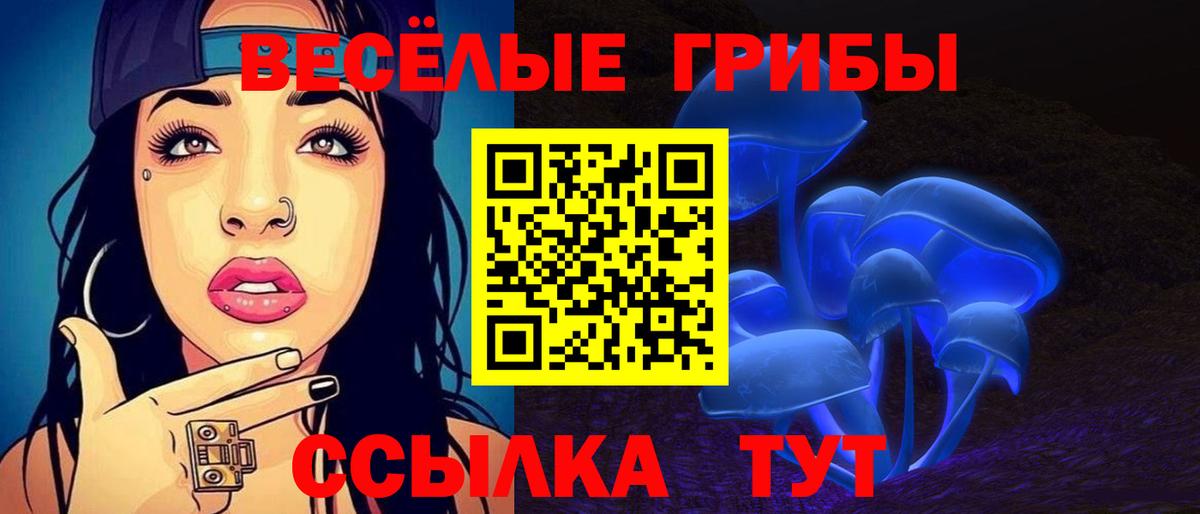Петрозаводск  Псилоцибиновые грибы GOLDEN TEACHER  Вход с VPN 